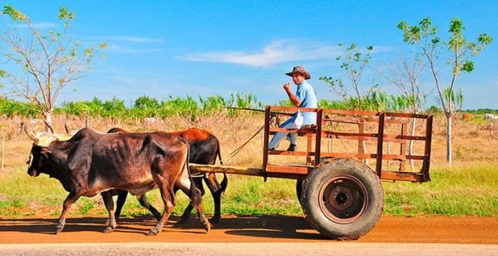 Чего не стоит делать на Кубе Чего не стоит делать на Кубе