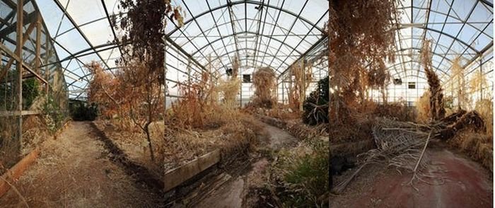 Научный эксперимент «Биосфера-2» - рай, превратившийся в ад Научный эксперимент «Биосфера-2» - рай, превратившийся в ад
