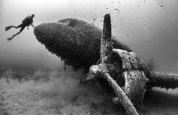 Лучшие работы конкурса подводных фото