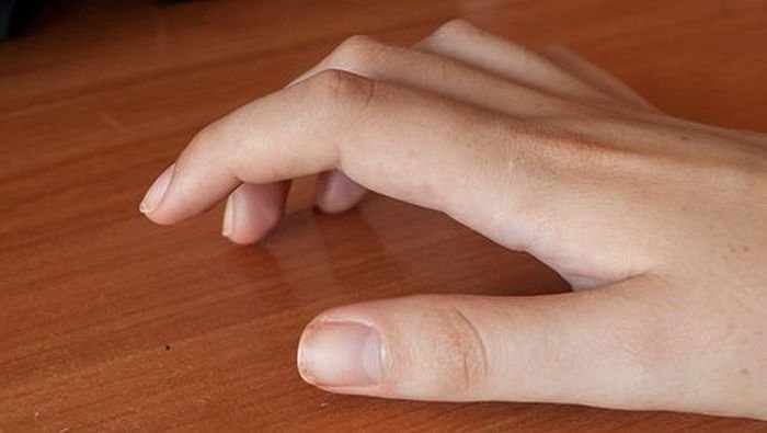 Интересные факты обо всем на свете Интересные факты обо всем на свете