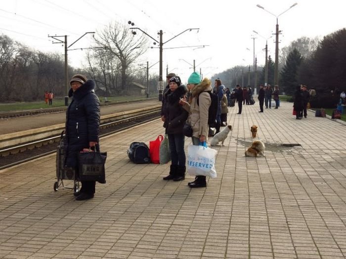 Жители ДНР и ЛНР о жизни в непризнанных республиках Жители ДНР и ЛНР о жизни в непризнанных республиках