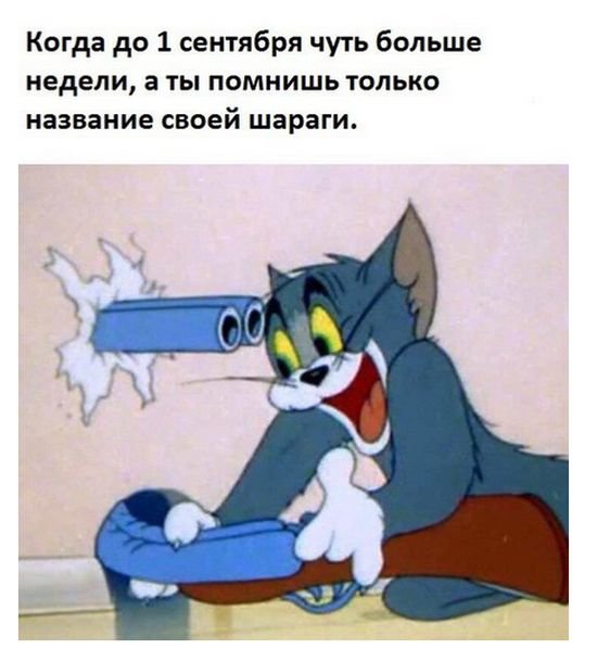   (112 )