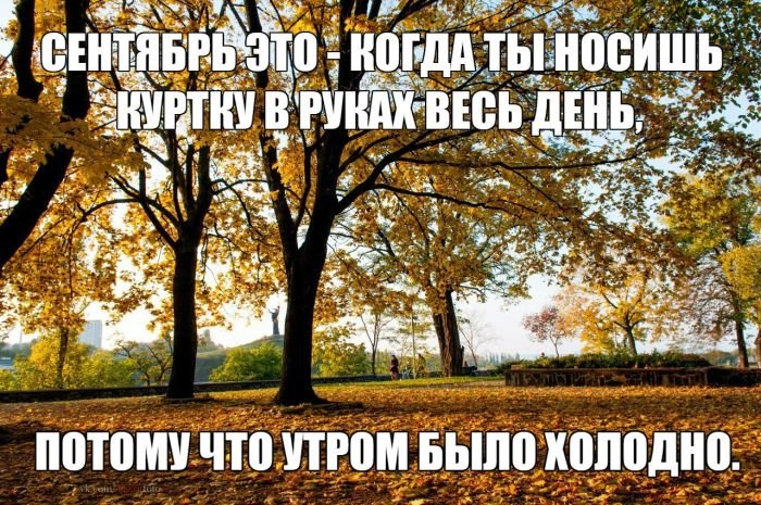    (104 )