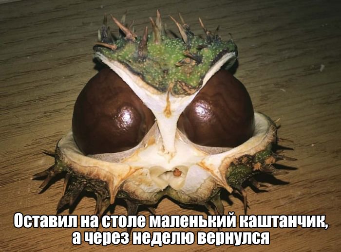   (114 )
