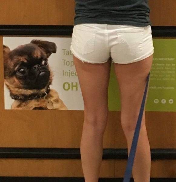   (51 )