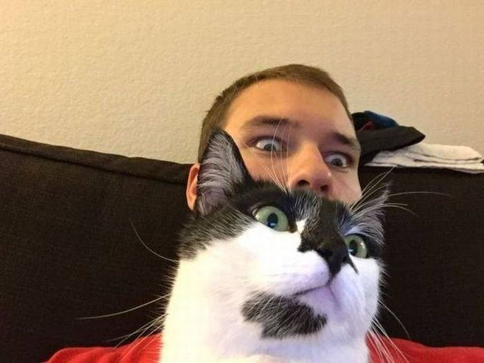   (54 )