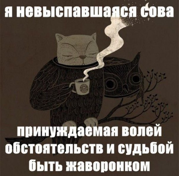   (109 )