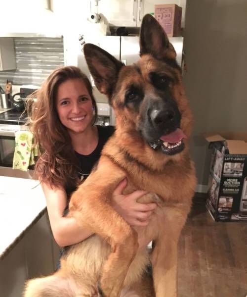   (53 )