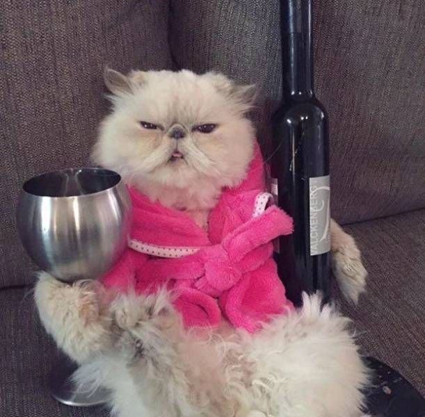   (51 )