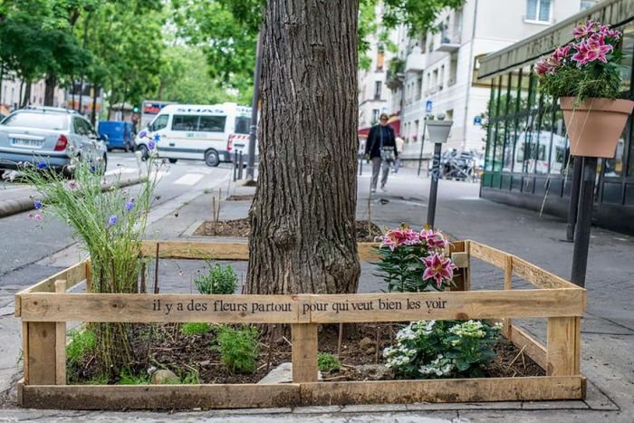Власти Парижа поддержат развитие частных городских садов (6 фото)