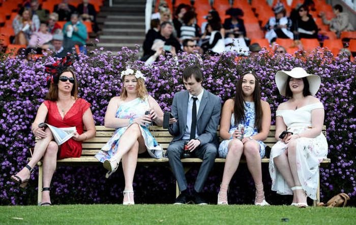    Geelong Cup (58 )