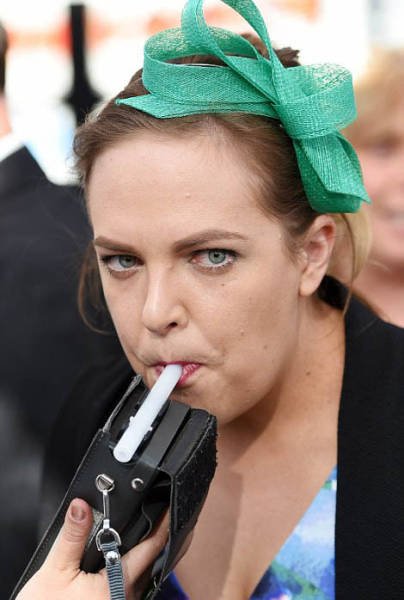    Geelong Cup (58 )