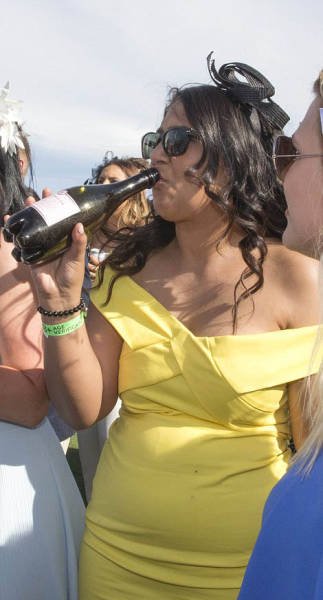    Geelong Cup (58 )