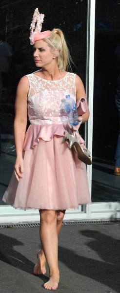    Geelong Cup (58 )