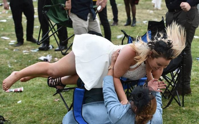   Geelong Cup (58 )