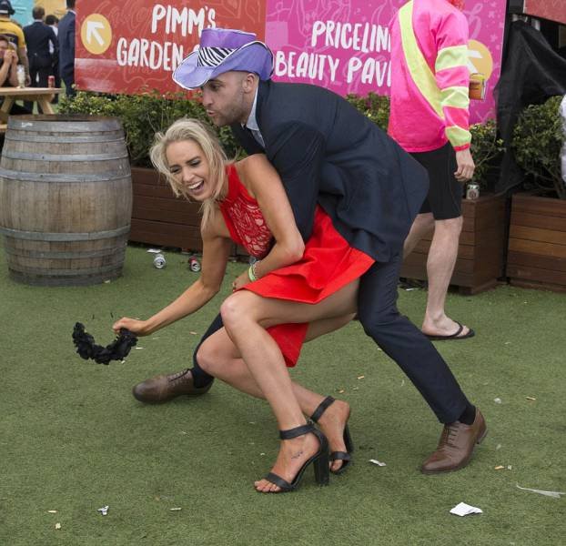    Geelong Cup (58 )