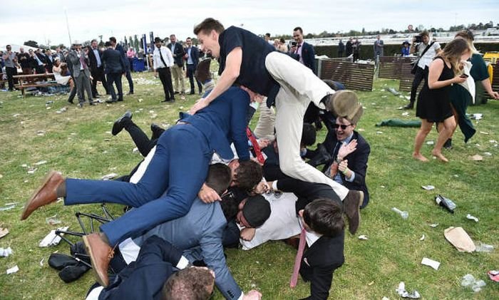    Geelong Cup (58 )