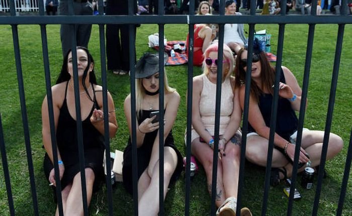    Geelong Cup (58 )