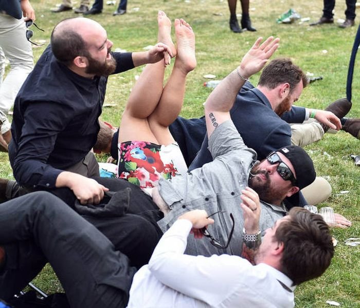    Geelong Cup (58 )