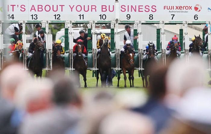    Geelong Cup (58 )