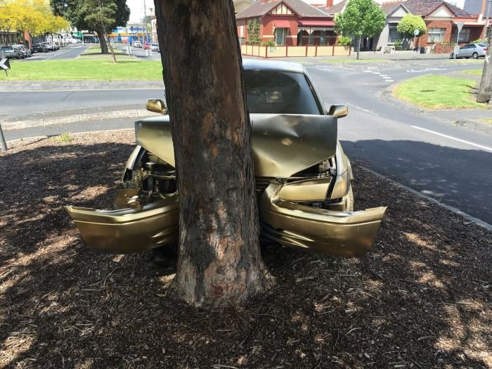 В Австралии врезавшийся в дерево автомобиль превратили в арт-объект (4 фото)