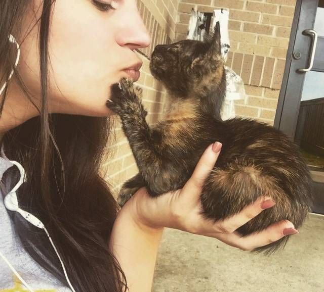   (60 )