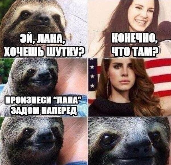    (60 )