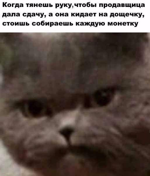    (60 )