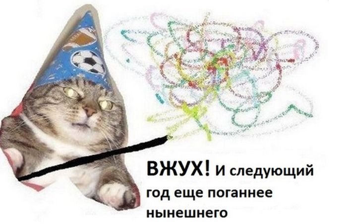  Кот-волшебник стал мемом «Вжух» (11 картинок)