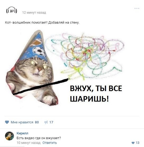  Кот-волшебник стал мемом «Вжух» (11 картинок)