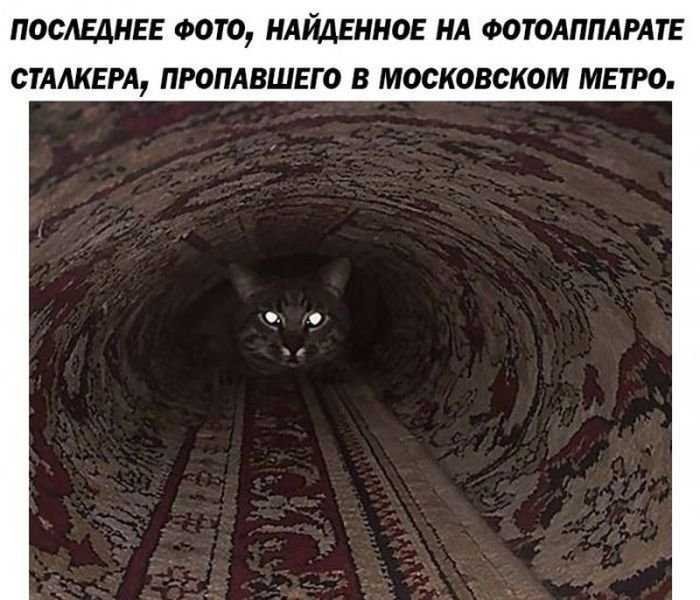    (78 )