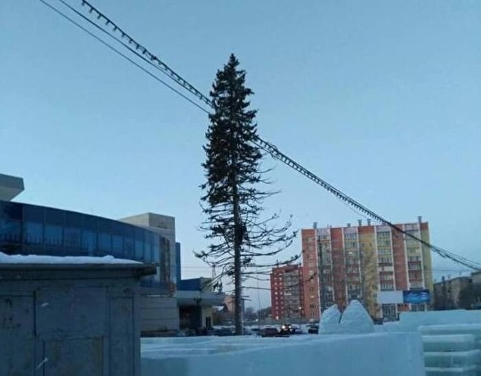  Жителей Копейска возмутила лысая елка на центральной площади города (2 фото)