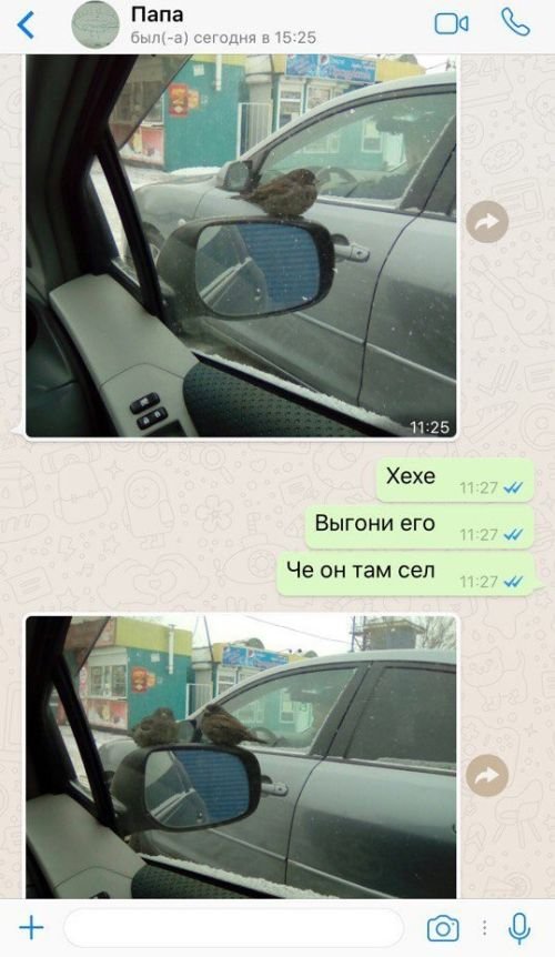    (115 )