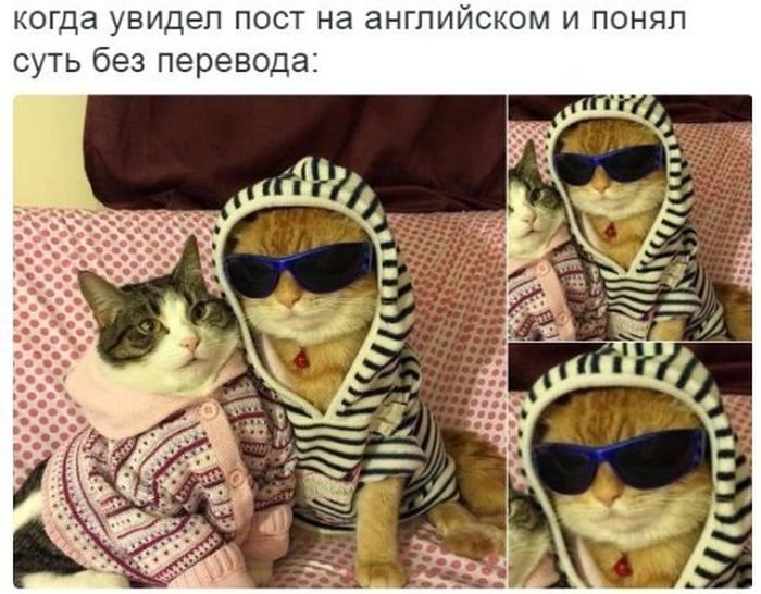    (115 )