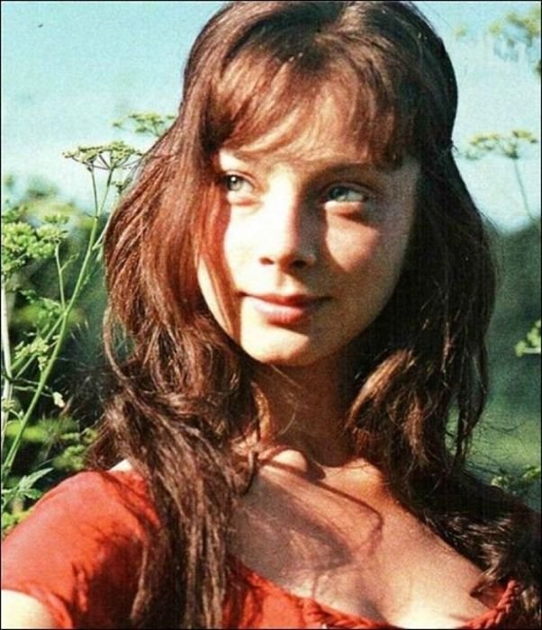   ,    (46 )