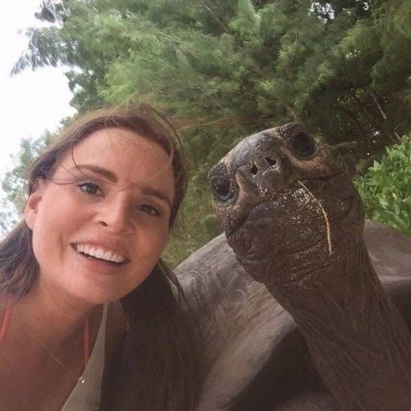    (50 )