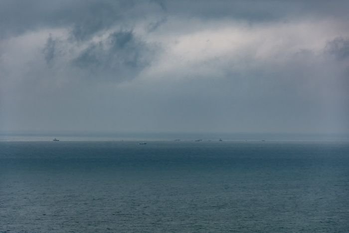    2016  (21 )