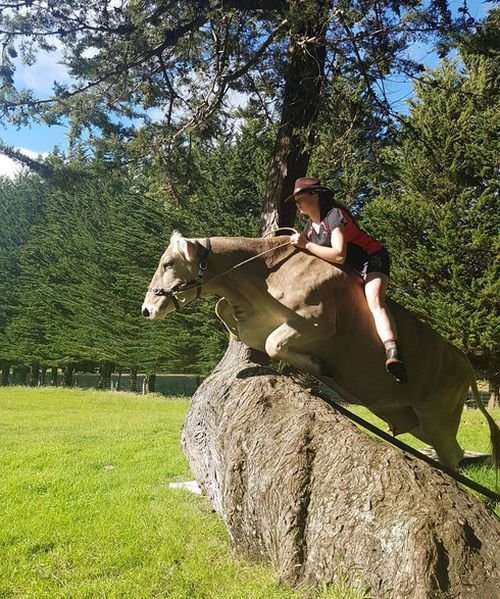  В Новой Зеландии девочка превратила корову в лошадь (7 фото)