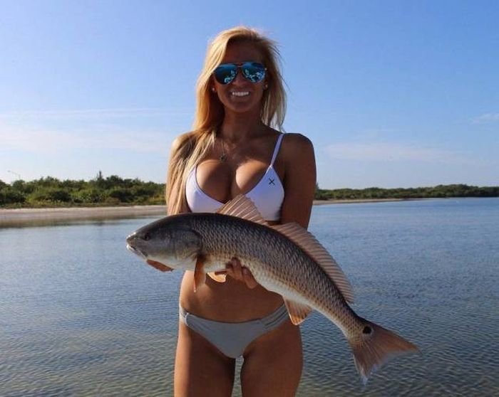   (55 )