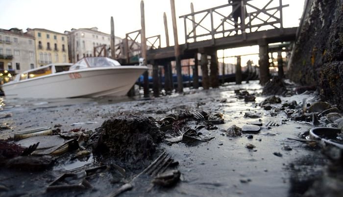 Из-за сильного отлива Венеция осталась без воды (11 фото)