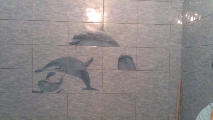  Когда никогда не видел дельфинов (2 фото)