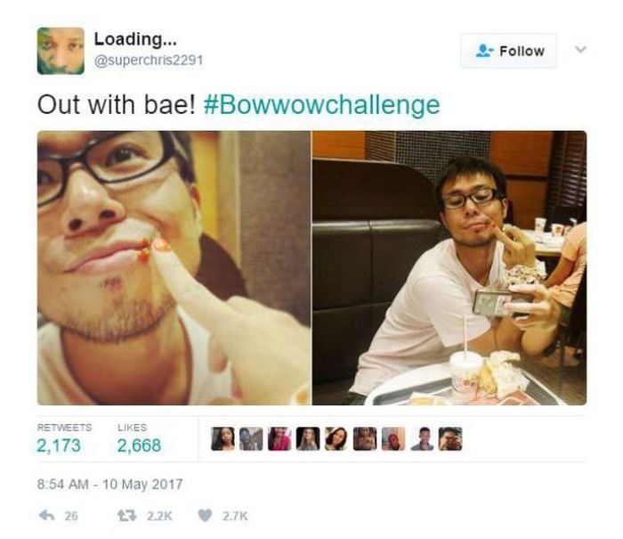      #BowWowChallenge,    Bow Wow (15 )