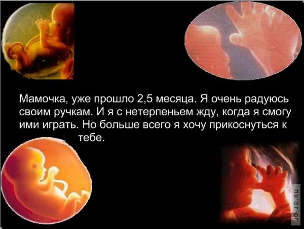 Социальная реклама против абортов