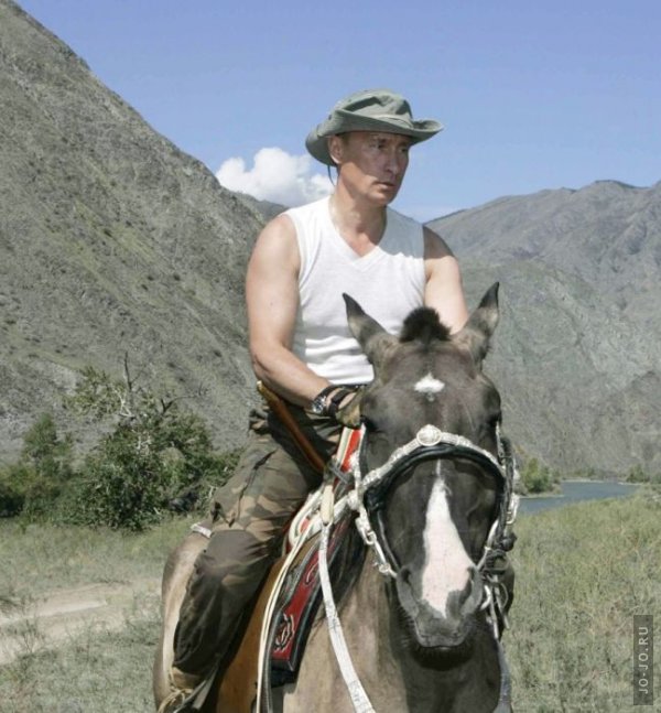 Фотографии Владимира Путина