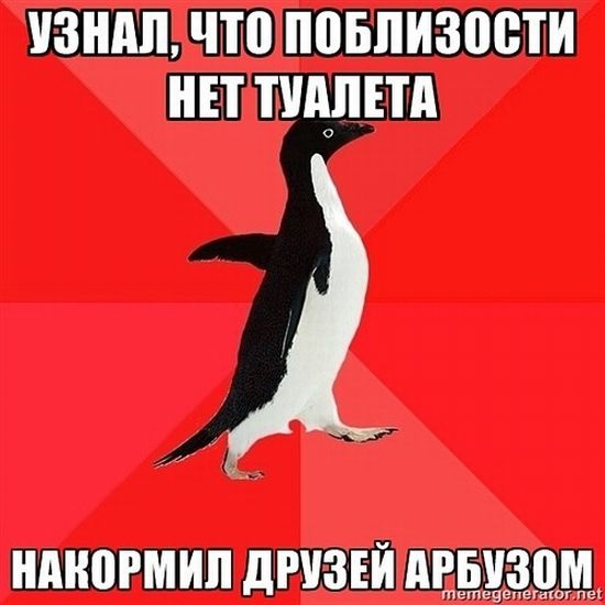 Злой пингвин
