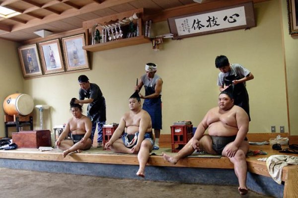 Повседневная жизнь борцов сумо