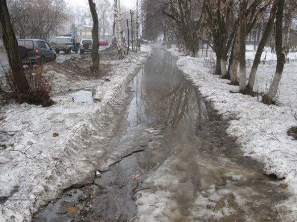 В Москве выпал первый снег