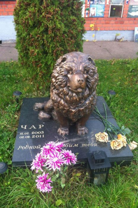 Подмосковное кладбище домашних животных для олигархов