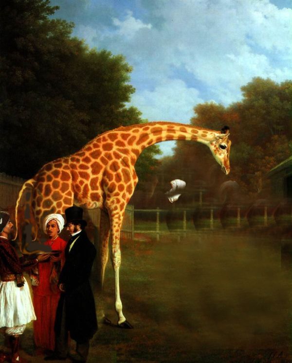 Жирафная фотожаба
