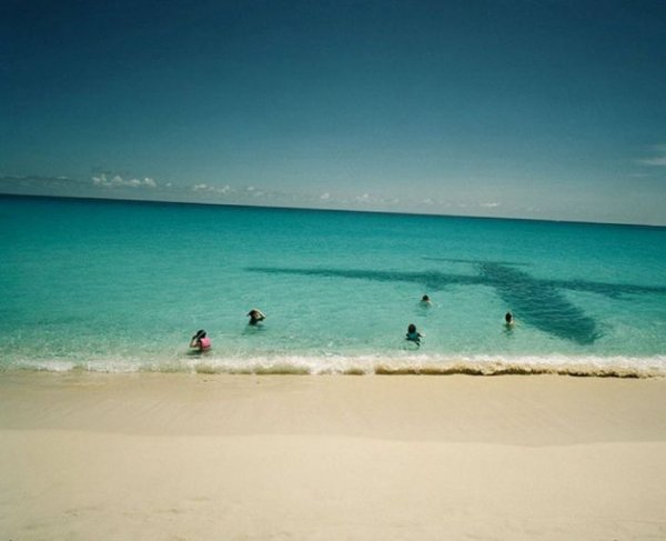 Подборка самых необычных пляжей мира